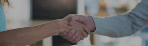 partners shaking hands